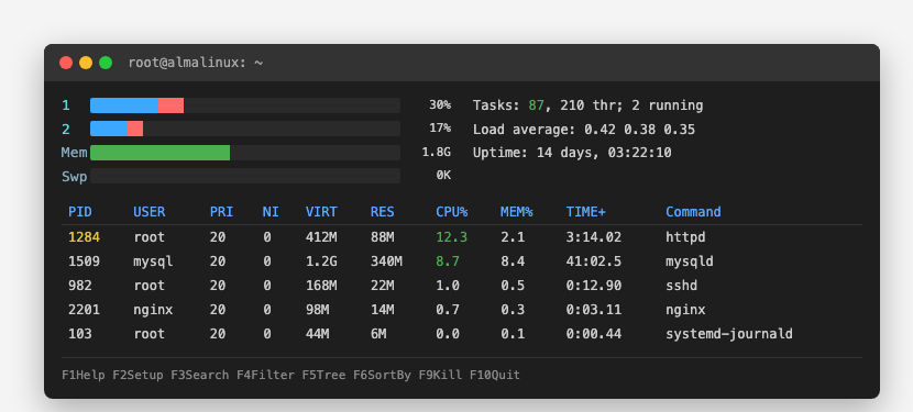 htop process viewer showing live CPU, memory and process list